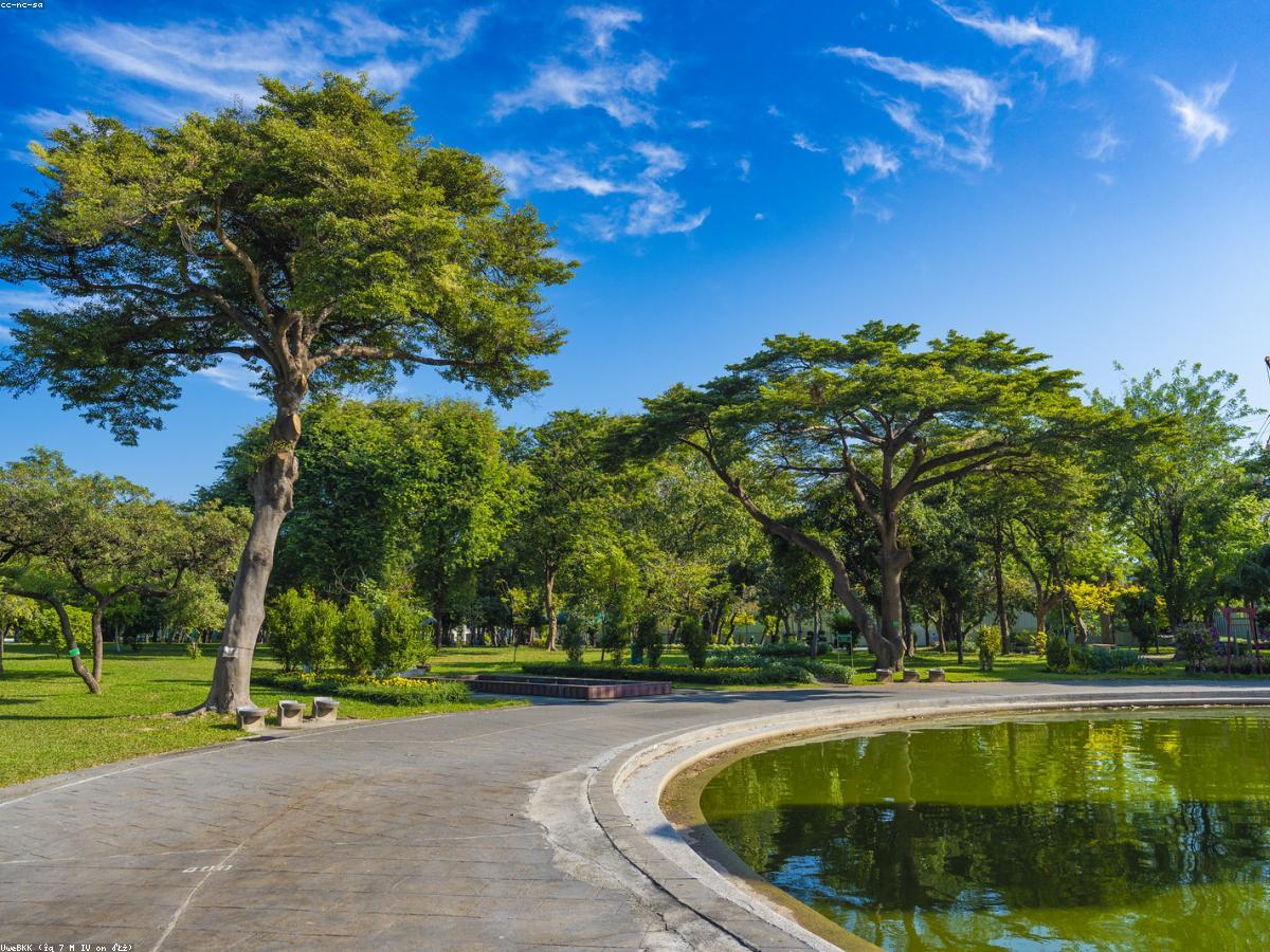 Gartenteich mit klarem Wasser als Wasserelement